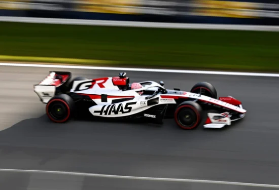 Blog | Il paradosso dei test a porte chiuse nell’era dei cani col pass Paddock