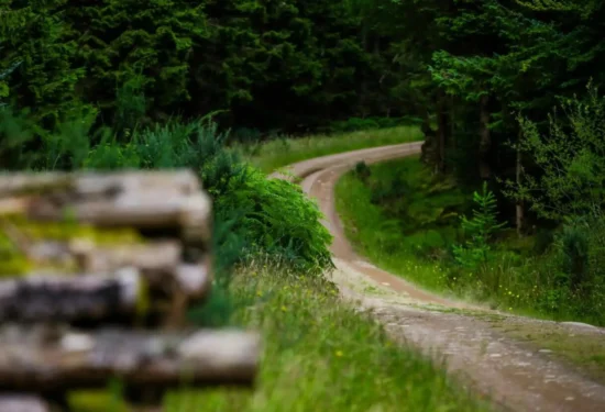 WRC | Rally Scotland 2027: arrivano i primi indizi sull’itinerario. Aberdeen al centro del progetto